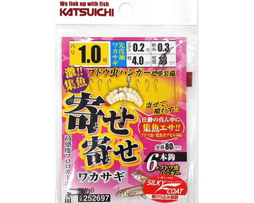  似似 6 ٴä BW-6