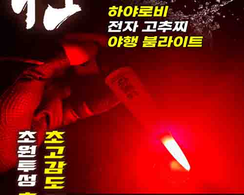 ���� ���ڰ�����