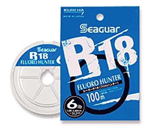 R18 �ķη����� 100m