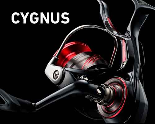 23ñ׳ʽ CYGNUS (10%)
