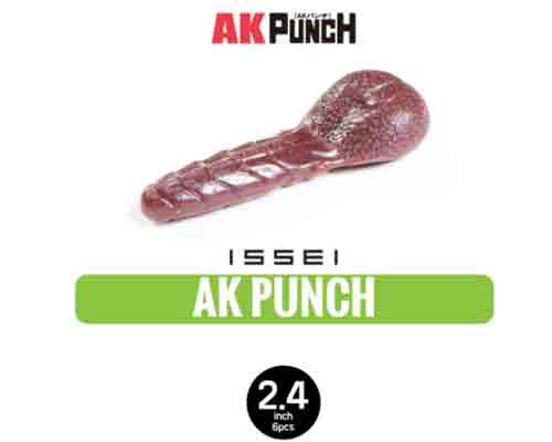 AKġ2.4ġ