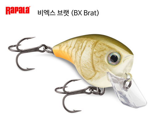 񿢽 귧 3ġ (BX Brat) (BXB03)