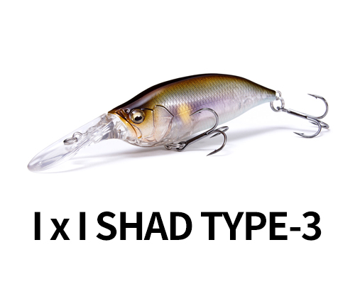ǰ̹