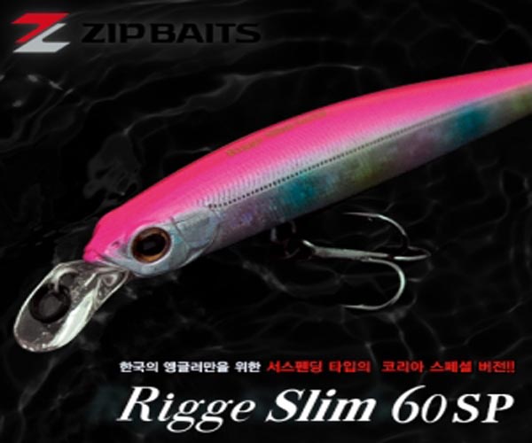 (RIDDGE) 60SP