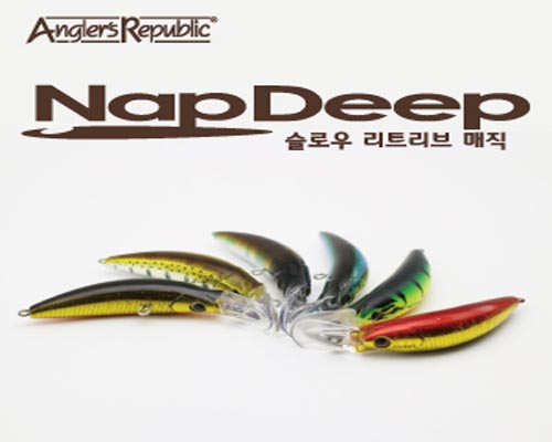  NAP DEEP 55F(55F)