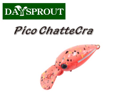  PICO CHATTEERA DR-SS( íũ DR-SS)