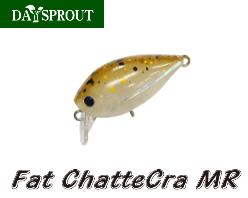  íũ MR FAT CHATTECRA 