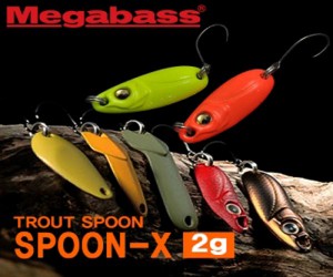 ǬX (SPOON X) 2g