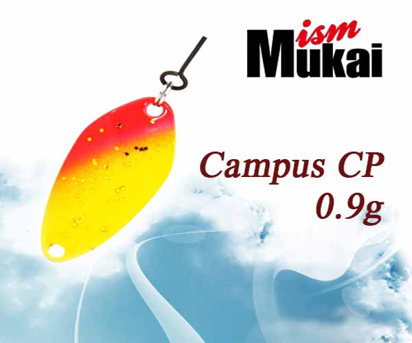 ķ۽ (CAMPUS) CP ÷ 0.9g