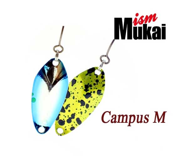 ķ۽ (CAMPUS) M ÷ 0.9g