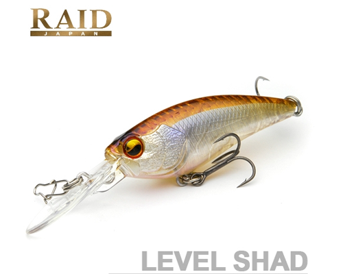   LEVEL SHAD