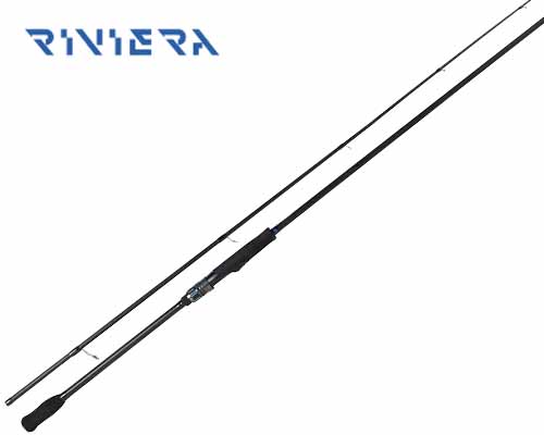 νƮ (T1100ʰ淮)