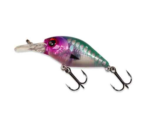 ����Ŀ 36F(1�����)