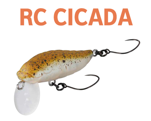 RC��ī����